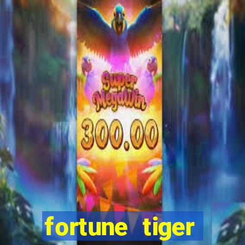 fortune tiger cassino pix